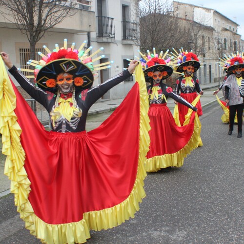 carnavales 2025 (147)